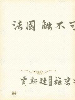 法国 触不可及