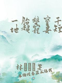 一胎双宝千亿爹地超宠妻短剧在线
