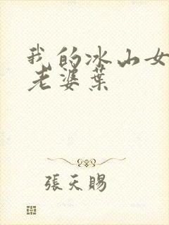 我的冰山女总裁老婆叶