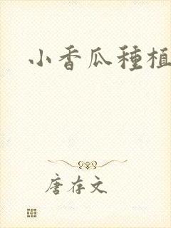 小香瓜种植方法