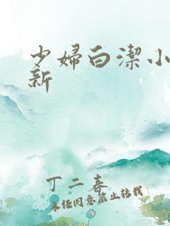 少妇白洁小说最新