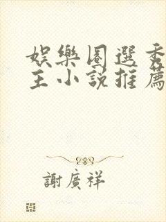 娱乐圈选秀双男主小说推荐