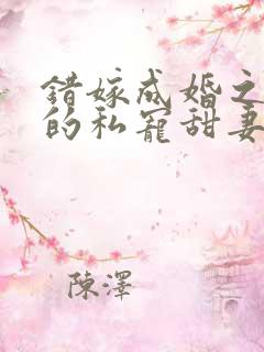 错嫁成婚之总裁的私宠甜妻免费阅读