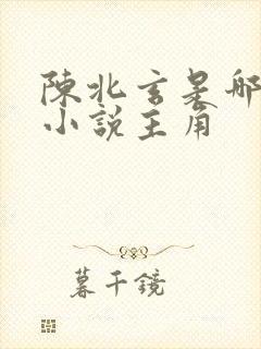 陈北玄是哪一部小说主角