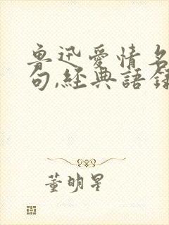 鲁迅爱情名言名句,经典语录