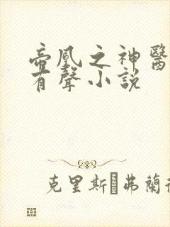 帝凰之神医弃妃有声小说