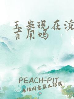 玉米现在浇水还有用吗