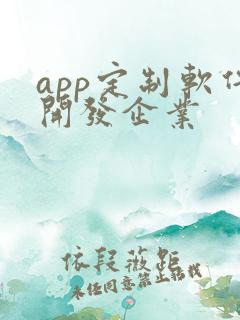 app定制软件开发企业
