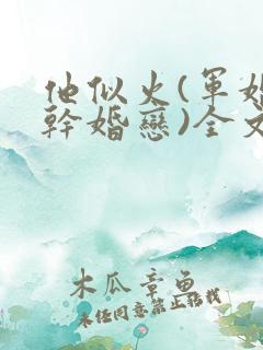 他似火(军婚高干婚恋)全文免费阅读无弹窗