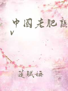 中国老肥熟女av