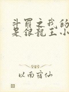 斗罗之我的妻子是银龙王小说免费阅读