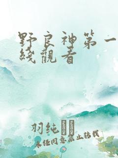 野良神第一季在线观看