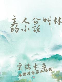 主人公叫林知夏的小说