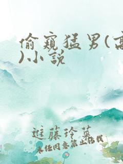 偷窥猛男(高h)小说