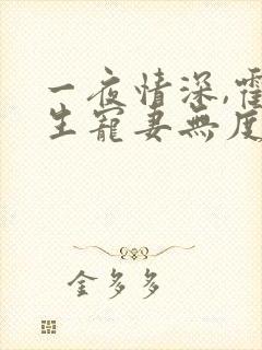 一夜情深,霍先生宠妻无度全集小说