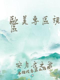 欧美专区视频一区