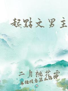 起点文男主是我