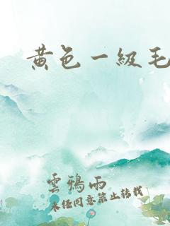黄色一级毛逼