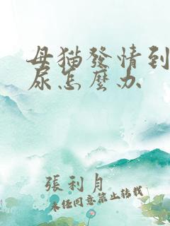 母猫发情到处乱尿怎么办