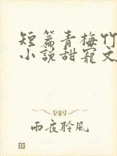 短篇青梅竹马的小说甜宠文