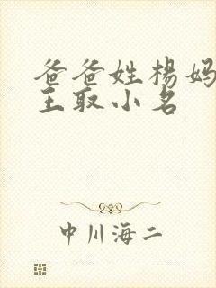 爸爸姓杨妈妈姓王取小名