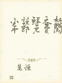 小说鲜衣怒马少年郎免费阅读