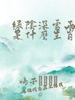 绿阴深处两相寻是什么生肖