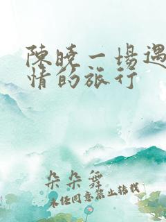 陈晓一场遇见爱情的旅行