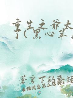 重生之爷太重口了( 黑心苹果)