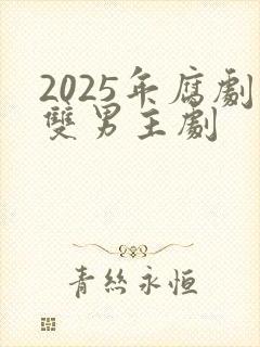 2025年腐剧双男主剧