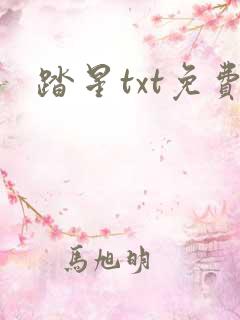 踏星txt免费