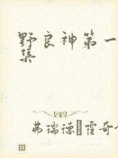 野良神第一季全集