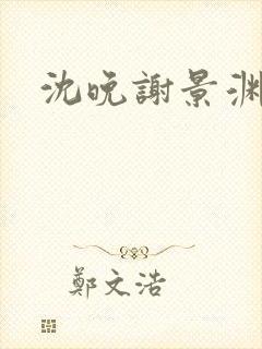 沈晚谢景渊小说