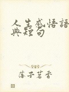 人生感悟语录经典短句