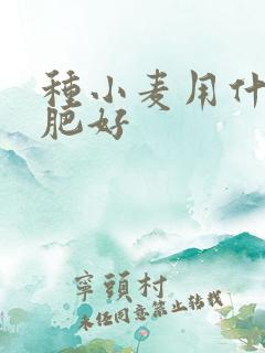 种小麦用什么底肥好