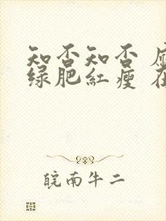 知否知否 应是绿肥红瘦 在线播放
