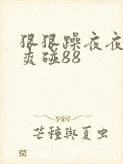 狠狠躁夜夜躁人爽碰88