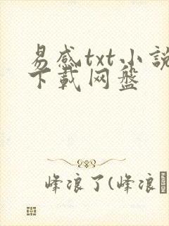 易感txt小说下载网盘