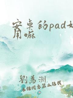 安卓的pad好用嘛
