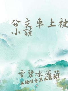 公交车上被摸了小说