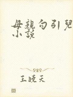 母亲勾引儿子的小说