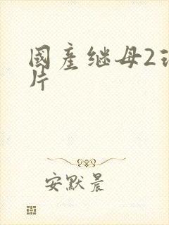 国产继母2理伦片