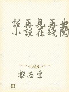 说再见再也不见小说在线阅读