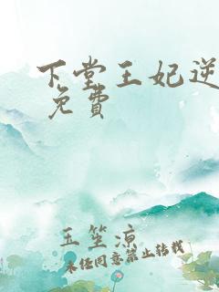下堂王妃逆袭记 免费