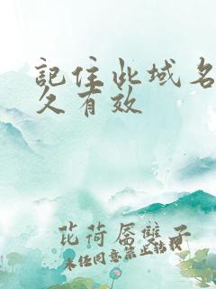 记住此域名记永久有效