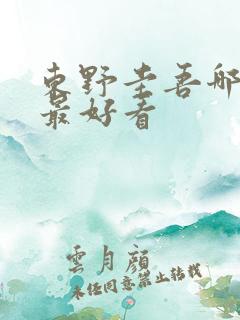 东野圭吾哪些书最好看
