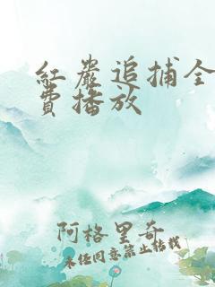 红岩追捕全集免费播放