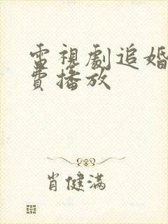电视剧追婚记免费播放