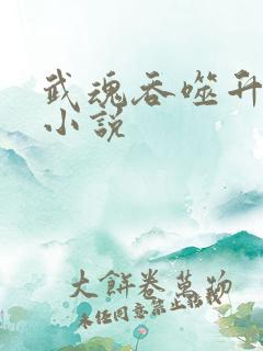 武魂吞噬升级的小说