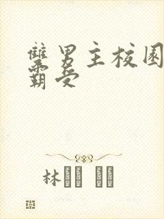 双男主校园文校霸受